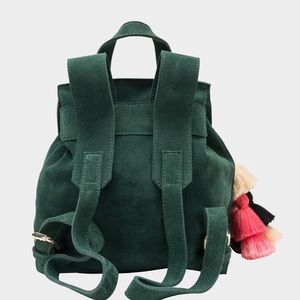 the wolf gang backpack